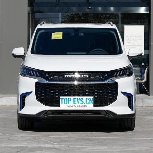 SAIC MAXUS MIFA 5– Buy Direct From China |  Chinese Ev Cars in Ethiopia